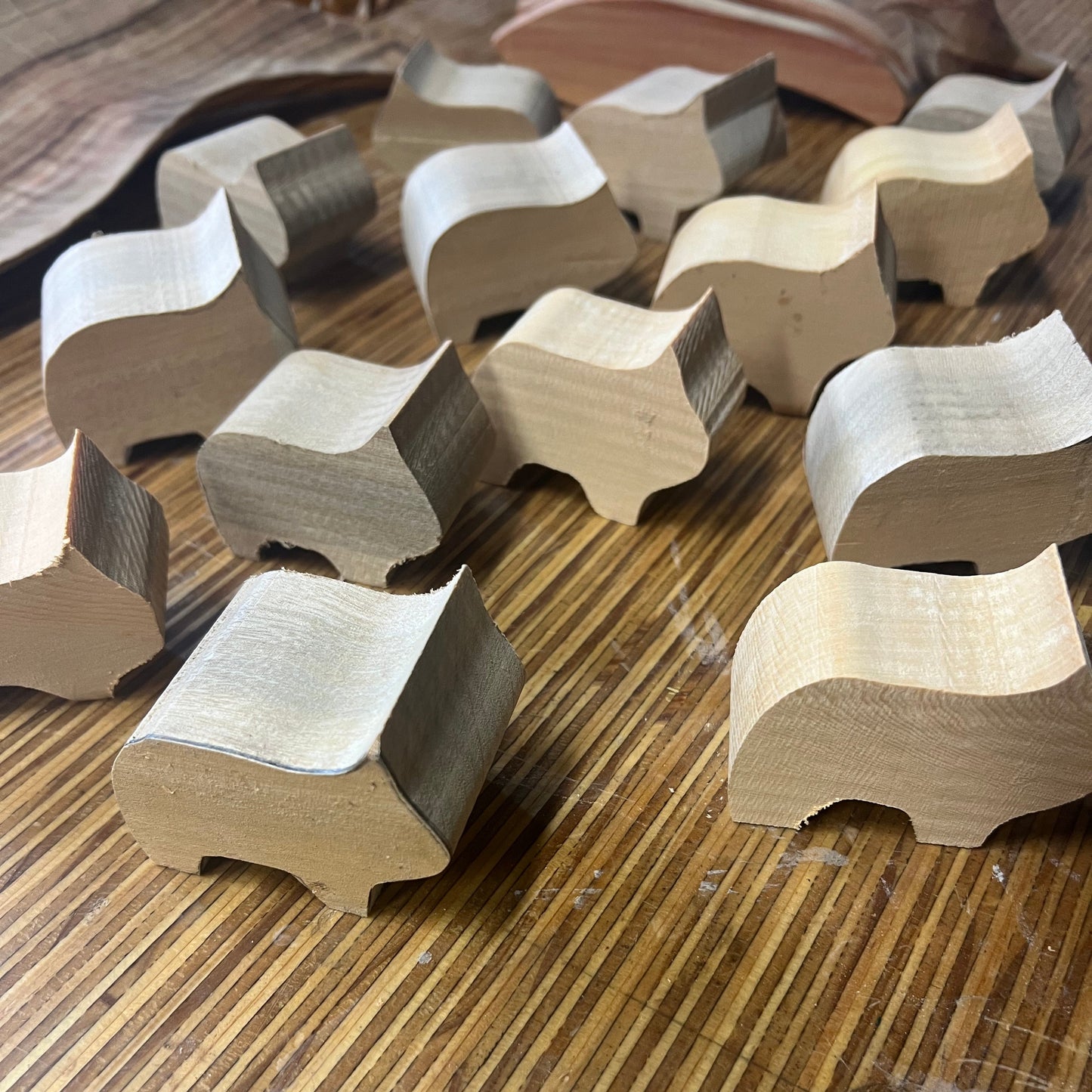 Wombat Carving Blank