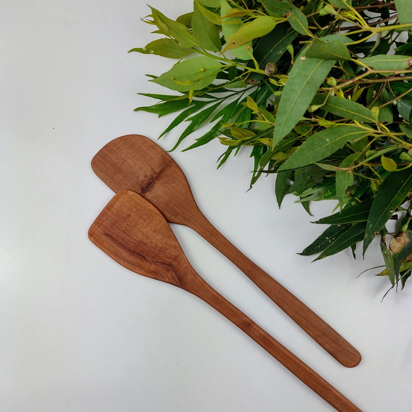Spatula - Tasmanian Myrtle