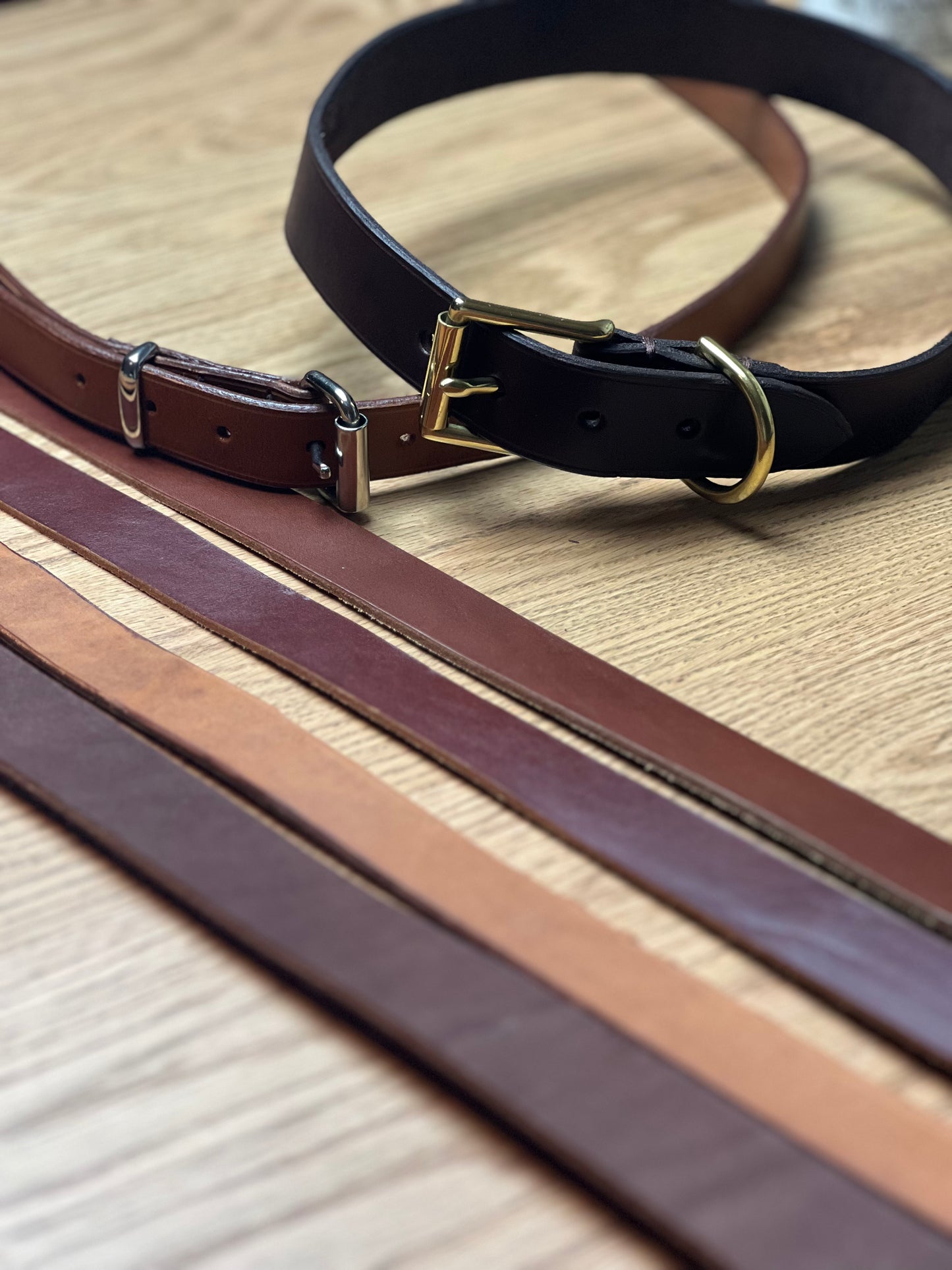 Personalised Leather Dog Collar Workshop - Wilston