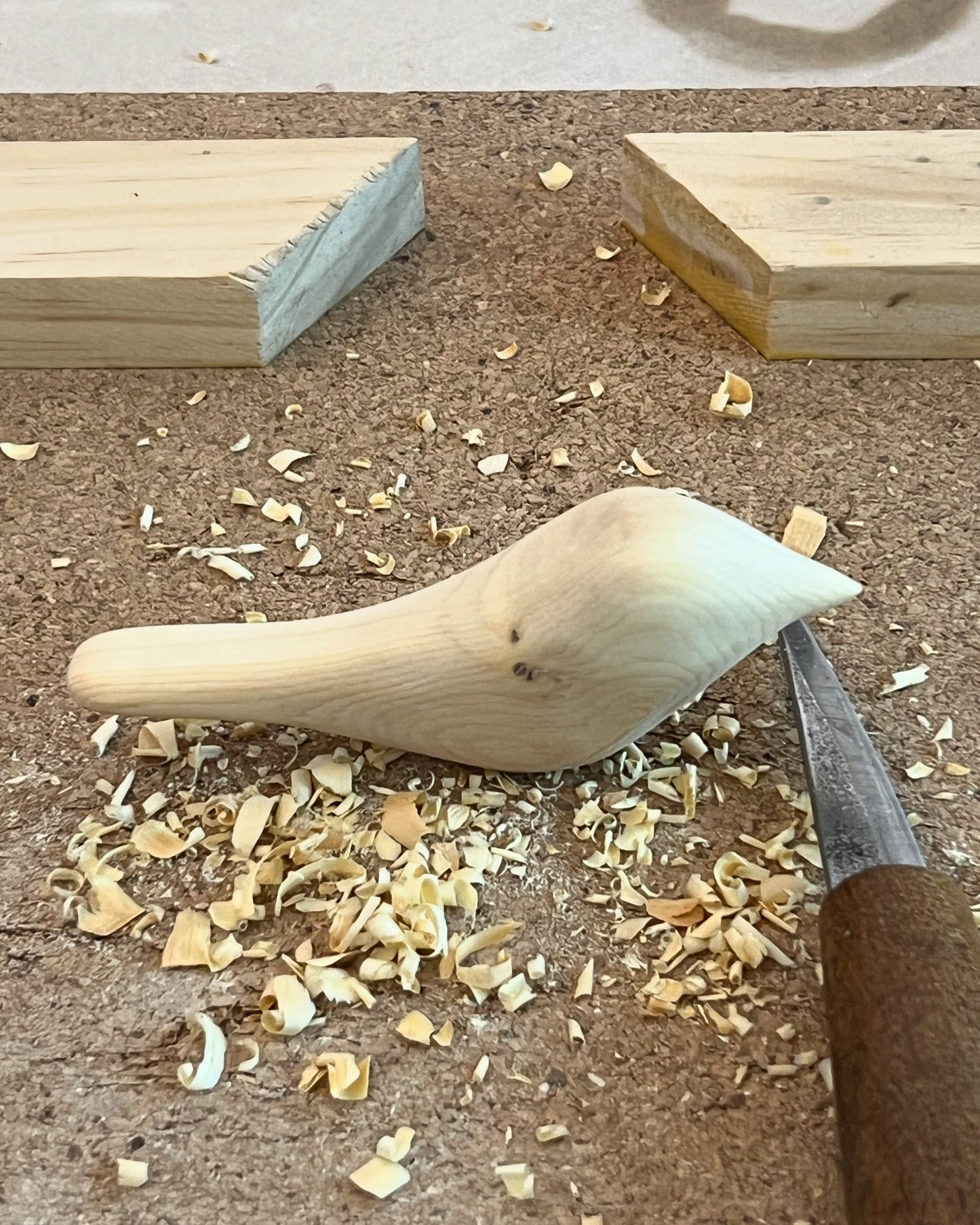 Comfort Bird Carving - Wilston