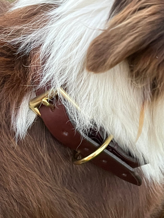 Personalised Leather Dog Collar Workshop - Wilston