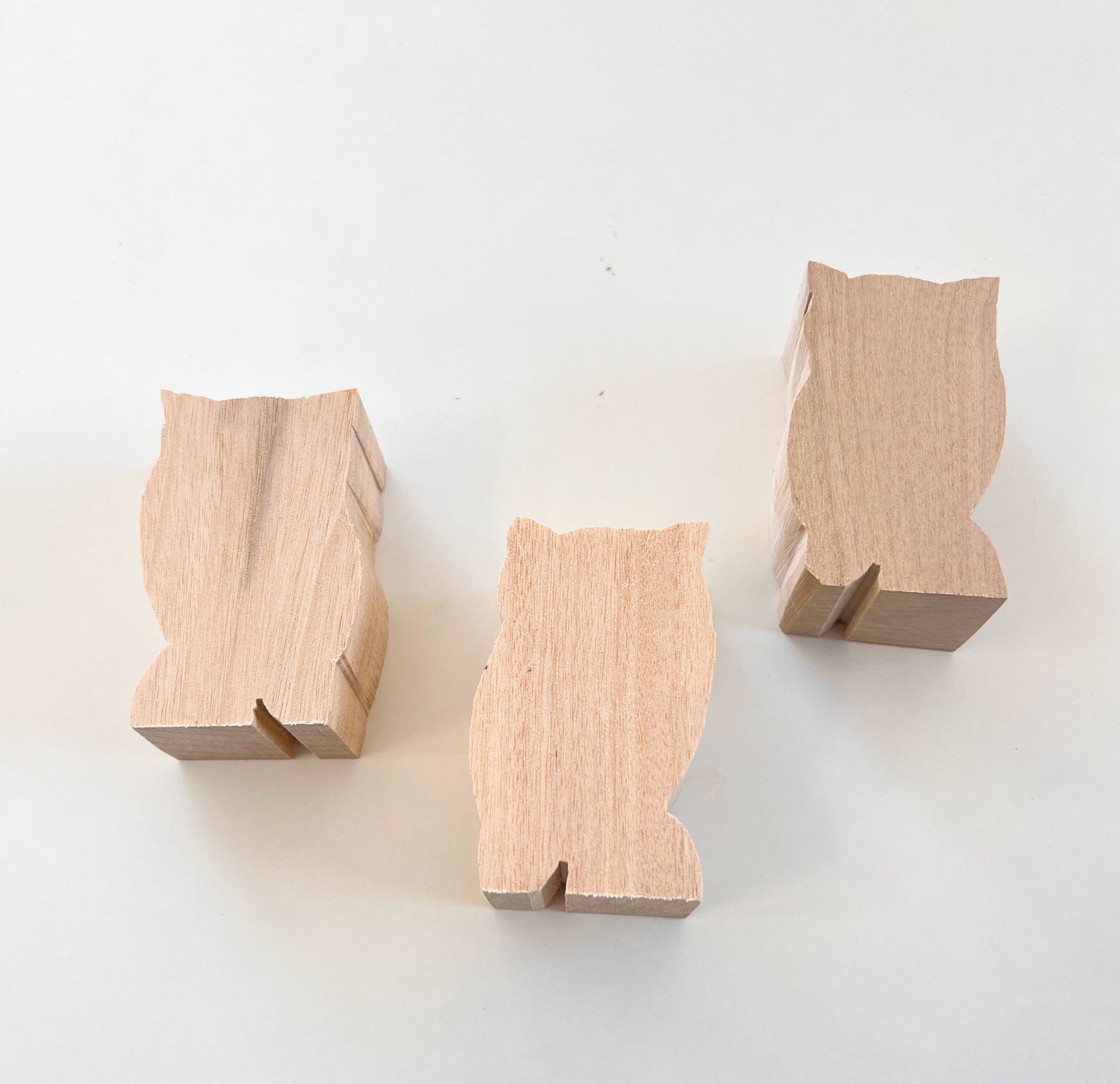 Owl Carving Blank