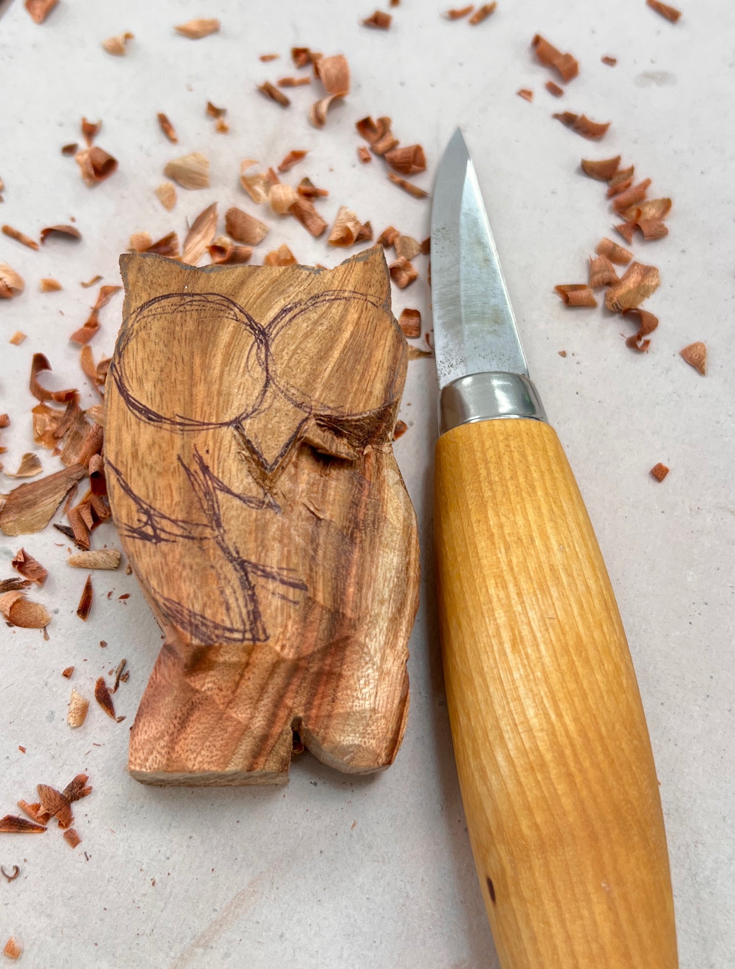 Owl Carving Blank
